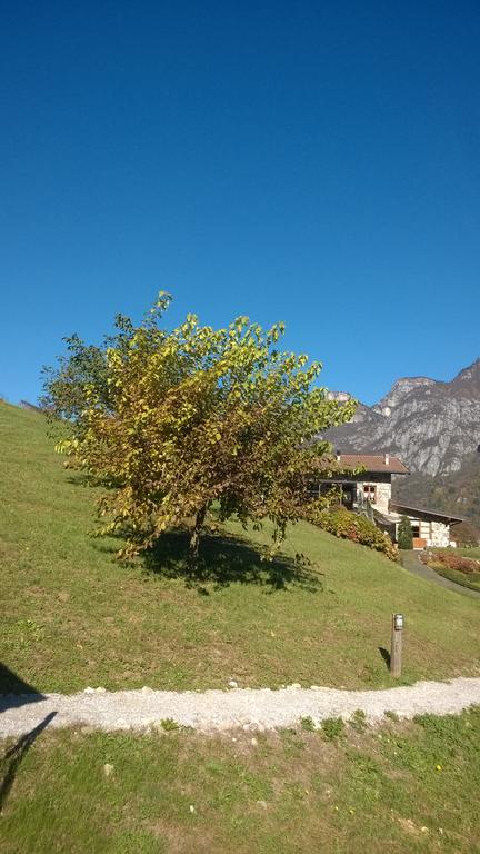 Villa Agriturismo Serec Angolo Terme Exterior foto